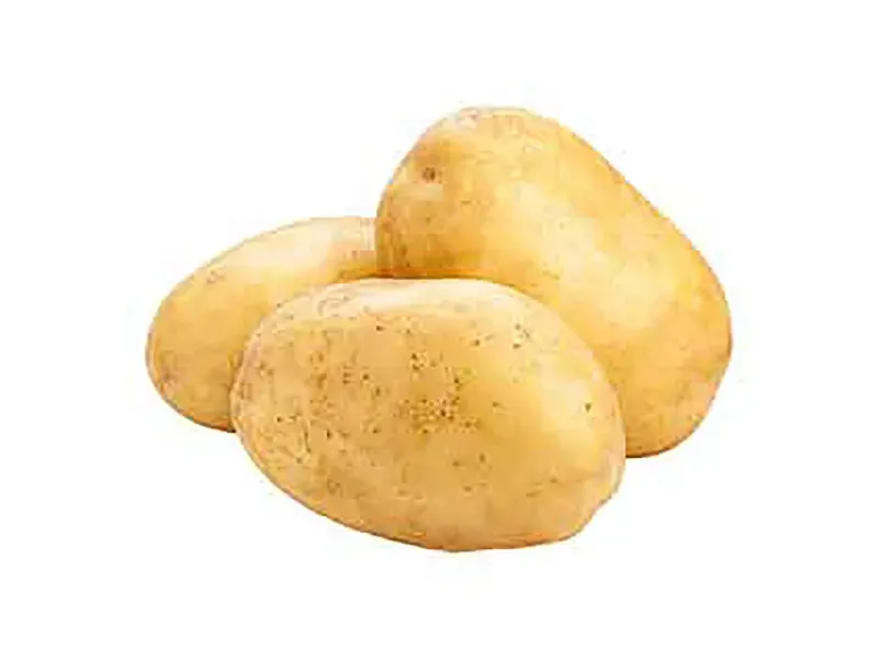 000000000070129219-KG-02