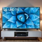 000000000075242637-UN-06