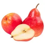 000000000070048417-KG-01