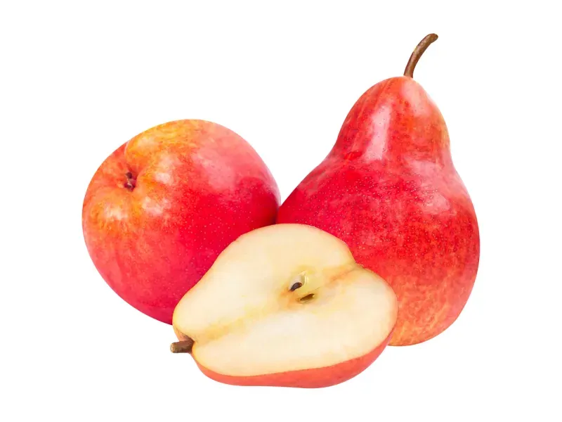 000000000070048417-KG-01