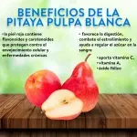 000000000070048417-KG-03