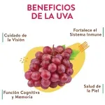 000000000070608026-UN-05