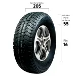 000000000070005610-UN-02