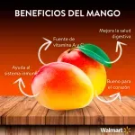 000000000075105736-KG-02