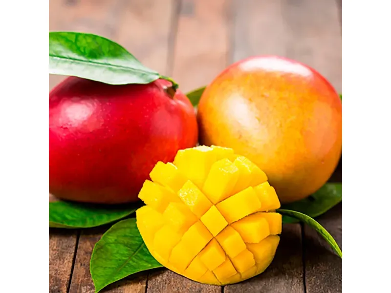 000000000075105736-KG-03