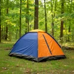 000000000070289840-UN-02