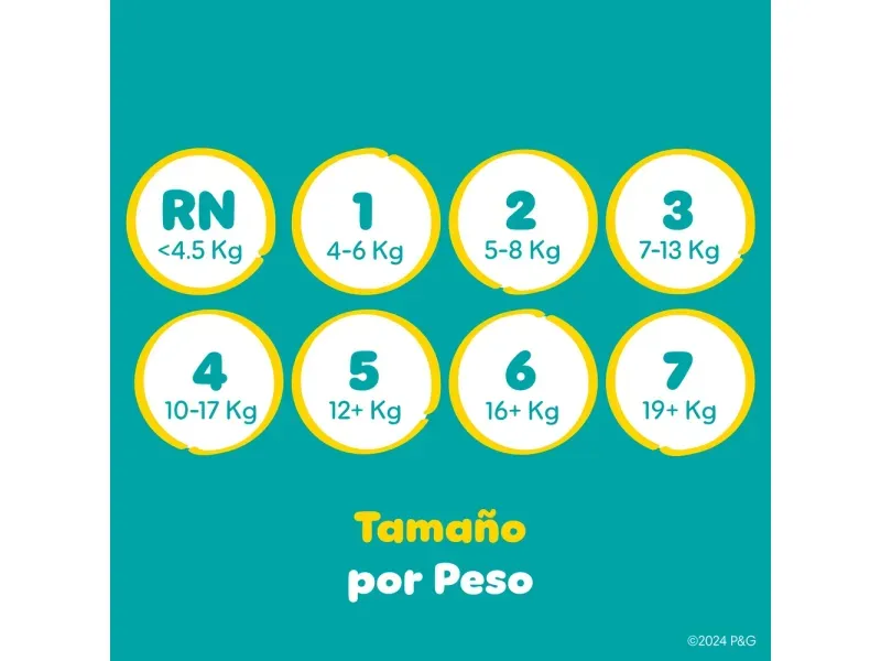 000000000075321296-UN-06