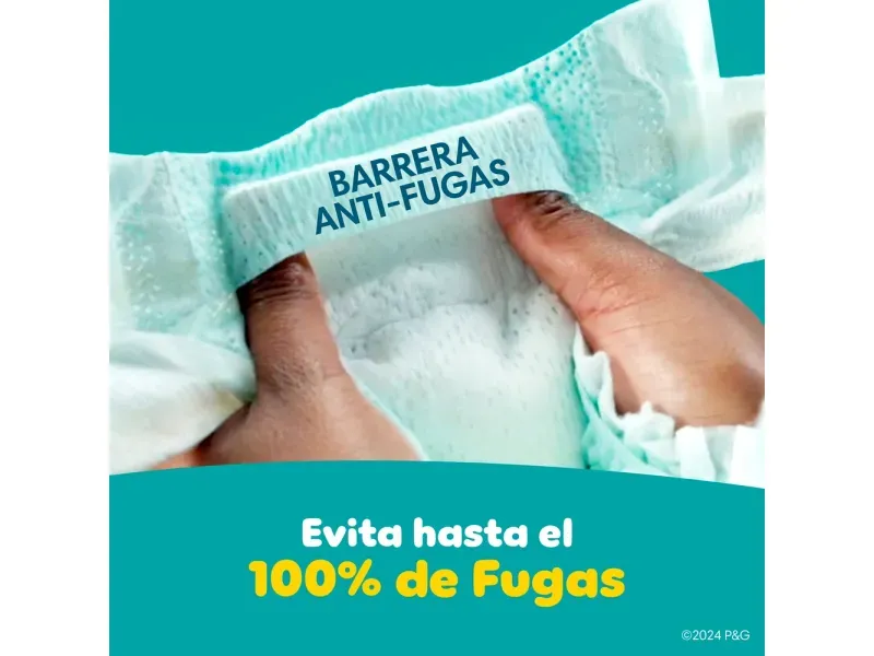 000000000075334814-UN-03