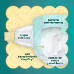 000000000070170877-UN-04