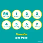 000000000075334814-UN-06