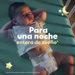 000000000070117450-UN-07