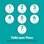 000000000075341219-UN-08