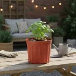 000000000070194732-UN-04