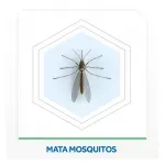 000000000001309646-UN-04