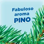 000000000001367004-UN-08