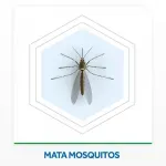 000000000070035519-UN-07