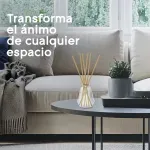 000000000070162887-UN-08