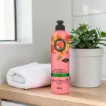 000000000075437840-UN-05