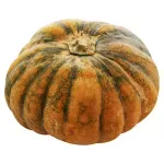 000000000009401701-KG-02