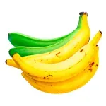 000000000070005763-UN-02