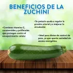 000000000009402632-UN-03