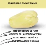 000000000009413300-UN-03