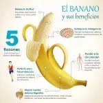 000000000009413251-UN-03