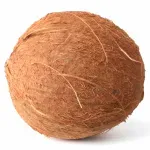 000000000070234041-UN-02