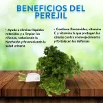 000000000070036523-UN-03