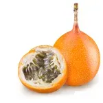 000000000070292476-UN-01