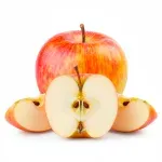 000000000070388647-UN-01