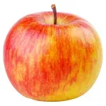 000000000070388647-UN-02