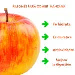 000000000070388647-UN-03