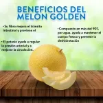 000000000070240175-KG-03