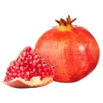 000000000070049021-KG-01