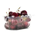 000000000009437835-UN-03