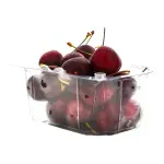 000000000009437835-UN-04