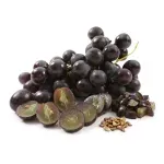 000000000070233359-KG-01