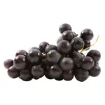 000000000070233359-KG-02