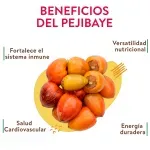 000000000070422117-UN-03