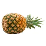 000000000075167942-UN-02