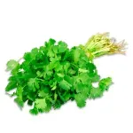 000000000070129122-UN-02