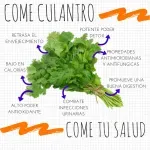 000000000070129122-UN-03