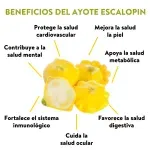 000000000070387969-UN-04