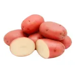 000000000070643538-KG-01