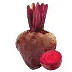 000000000075121118-UN-01