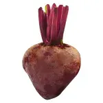 000000000075121118-UN-02