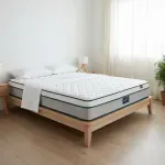 000000000075408314-UN-05