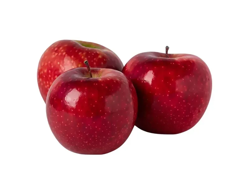 000000000075474196-UN-02