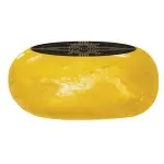 000000000070334488-UN-03